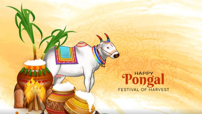  Pongal 2025: Know the dates of four day harvest festival