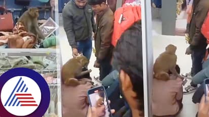 ಶಾಪಿಂಗ್ ಮಾಲ್ಗೆ ನುಗ್ಗಿದ ಕೋತಿ, ಸುಂದರ ಯುವತಿಗೆ ಮಾಡಿದ್ದೇನು? ಆಕೆಯ ಕೆನ್ನೆ, ಕಾಲು ಜಸ್ಟ್ ಮಿಸ್!