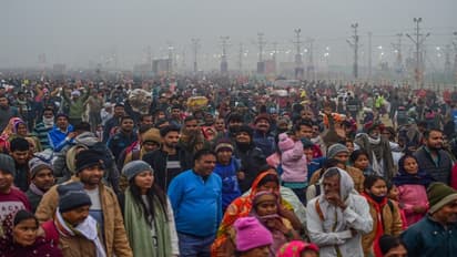 Maha Kumbh 2025: How Karnataka Milk Federation aims to set world record by serving 1 crore cups of tea