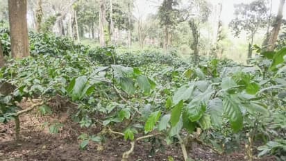 ಒತ್ತುವರಿದಾರರಿಗೆ ಸರ್ಕಾರಿ ಭೂಮಿ ಗುತ್ತಿಗೆ ನೀಡುವ ಸರ್ಕಾರದ ನಿರ್ಧಾರಕ್ಕೆ ಆಕ್ರೋಶ