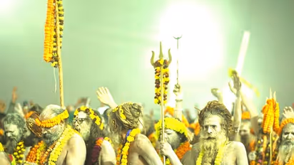 Maha Kumbh 2025: What is the difference between Naga Sadhu and Aghori Sadhu, do you know?