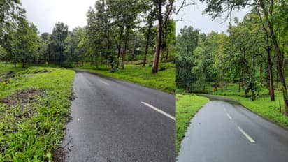 രാത്രി വനമേഖലയിലൂടെ അനാവശ്യ യാത്ര ഒഴിവാക്കണം, ടൂറിസ്റ്റുകൾ വന്യജീവികളെ പ്രകോപിപ്പക്കരുത്; മന്ത്രി ഒ.ആര്‍ കേളു