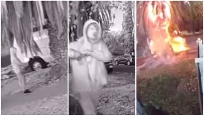 Did a man light fire near Melrose that eventually led to devastating LA wildfires? Video emerges (WATCH)