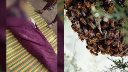 ചിറ്റൂരിൽ തേനീച്ചകളുടെ ആക്രമണത്തിൽ നിന്ന് രക്ഷപ്പെടാൻ കനാലിൽ ചാടിയ കർഷകൻ മുങ്ങിമരിച്ചു