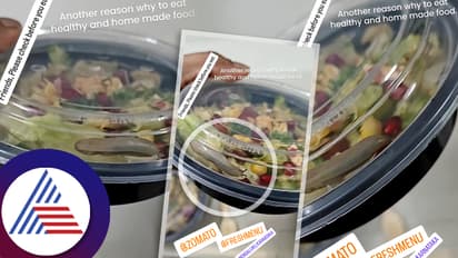 ಜೊಮ್ಯಾಟೋದಲ್ಲಿ ಆರ್ಡರ್ ಮಾಡಿದ ಫ್ರೆಶ್‌ಮೆನು ಸಲಾಡ್‌ನಲ್ಲಿ ಜೀವಂತ ಬಸವನಹುಳು ಪತ್ತೆ!