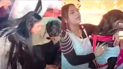 ಶ್ವಾನದ ಅದ್ದೂರಿ ಹುಟ್ಟುಹಬ್ಬ: ಪಾರ್ಟಿಗೆ 5 ಲಕ್ಷ ವೆಚ್ಚ ಮಾಡಿದ ಮಹಿಳೆ