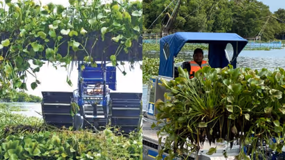 ഹമ്പട കേമാ..'ടിയാന്റെ' വരവിൽ നഗരസഭക്ക് ലാഭം 7,87,966 രൂപ; വീഡ് ഹാര്വെസ്റ്റിംഗ് മെഷീൻ ഹിറ്റെന്ന് കൊച്ചി നഗരസഭ