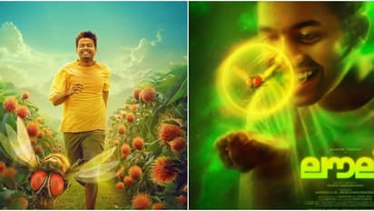 മാത്യു തോമസിന്റെ നായികയായി ഈച്ച, 'ലൗലി' വരുന്നു; റിലീസ് ഡേറ്റ് പ്രഖ്യാപിച്ചു