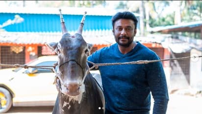 ಮುಂದಿನ ವಾರ ಕೊಲೆ ಆರೋಪಿ ದರ್ಶನ್ಗೆ ಬೆನ್ನು ನೋವಿನ ಶಸ್ತ್ರಚಿಕಿತ್ಸೆ?