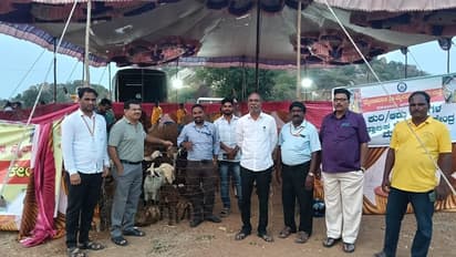 ಯಾದಗಿರಿ: ಮೈಲಾಪುರ ಜಾತ್ರೆಯಲ್ಲಿ ಎಸೆಯಲು ತಂದಿದ್ದ 737 ಆಡು-ಕುರಿಮರಿ ವಶ