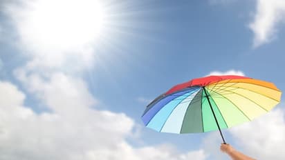 Delhi Weather Forecast, March 19: Sunny skies, warm sunshine; rising heat on the horizon