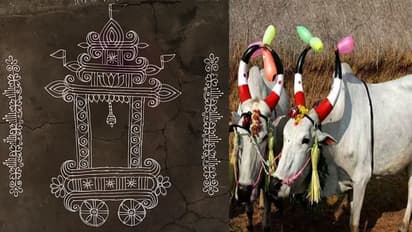 కనుమ రోజు రథం ముగ్గు ఎందుకు వేస్తారు, ఈ రోజు ఎలాంటి నియమాలు పాటించాలి.? 