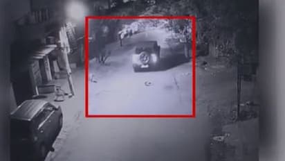 Bengaluru: Speeding Mahindra Thar mows down puppy in Sahakar Nagar, police launch manhunt (WATCH)