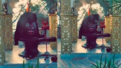 ಶಿವಲಿಂಗವನ್ನು ತಬ್ಬಿಕೊಂಡ ಕರಡಿ: ವೀಡಿಯೋ ವೈರಲ್