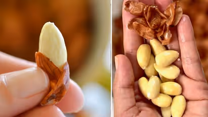 almond peels know how to use
