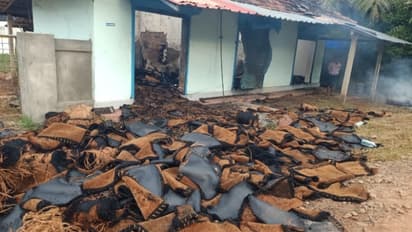 ചായക്കടയ്ക്ക് തീപിടിച്ചു, പിന്നാലെ ഗ്യാസ് സിലിണ്ടർ പൊട്ടിത്തെറിച്ച് വൻ നാശനഷ്ടം; കാരണമായത് ഷോർട്ട് സർക്യൂട്ട്