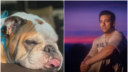 Salman Khan's dog Toro passes away; alleged gf Lulia Vantur says 'Thank you for blessing our lives..' [WATCH]