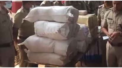 335 കിലോ കഞ്ചാവും 6.5 കിലോ എംഡിഎംഎയും പിന്നെ കൊക്കെയ്നും; ലഹരി വസ്തുക്കൾ വൻ തോതിൽ നശിപ്പിച്ച് മംഗളൂരു പൊലീസ്