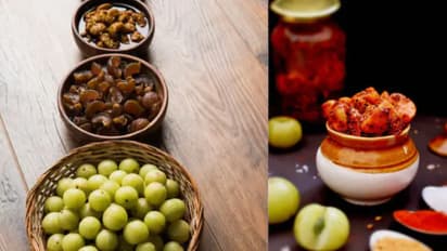 Why Amla is a must-have superfood in your daily diet?