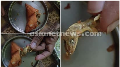 ಮಗಳಿಗಾಗಿ ತಂದ ಸಮೋಸಾದಲ್ಲಿ ಸಿಕ್ತು ಸತ್ತ ಹಲ್ಲಿ; ತಂದೆ ಶಾಕ್