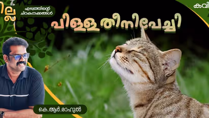 Malayalam Poem: പിള്ളതീനിപേച്ചി, കെ.ആര്.രാഹുല് എഴുതിയ കവിത