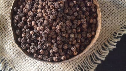 ರಾತ್ರಿ ಮಲಗುವ ಮುನ್ನ ದಿಂಬಿನ ಕೆಳಗೆ ಕರಿಮೆಣಸು ಇಟ್ರೆ ಜೀವನದಲ್ಲಾಗುತ್ತೆ ಈ ಚಮತ್ಕಾರ!