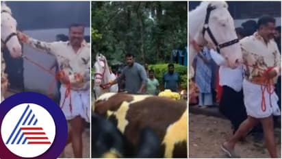 ಈ ವರ್ಷ ದರ್ಶನ್ ನೆಚ್ಚಿನ ಕುದುರೆ ಕಿಚ್ಚು ಹಾಯಿಸಿದ್ದು ಇವರೇ; ವಿಡಿಯೋ ವೈರಲ್