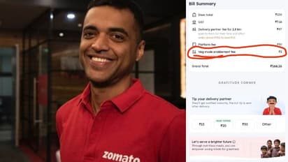 Zomato's 'extra charge' to vegetarian customer stirs row, CEO Goyal vows this 's**t' won't happen again