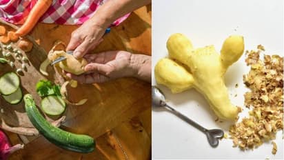 uses of vegetable peels in various way