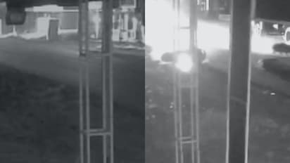 റോഡിലേക്ക് അതിവേഗം പാഞ്ഞെത്തി പന്നി, സ്കൂട്ടര് നേരെ ചെന്നിടിച്ചു, അപകടത്തിൽ പരിക്കേറ്റ യുവാവ് മരിച്ചു