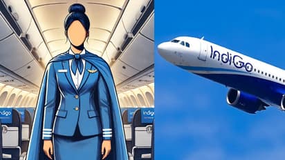 आसमान में जान बचाने वाली परी! इंडिगो क्रू मेंबर की बहादुरी की कहानी