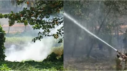 ചൂടിൽ അടിക്കാടിന് തീപിടിച്ചു; ആറ്റിങ്ങലിൽ തീപിടിത്തത്തിൽ ദുരന്തം ഒഴിവായത് ഫയർഫോഴ്സിന്റെ ഇടപെടലിൽ