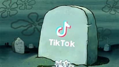 TikTok ban takes effect in US: 'RIP TikTok' memes flood social media, company pins hope on Trump