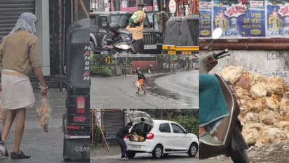 'ഇഷ്ടം പോലെ ചിക്കൻ, ഫ്രൈ, അൽഫാം...കോട്ടയത്തുകാർക്ക് കോളടിച്ചു', മറിഞ്ഞ ലോറിയിൽ നിന്ന് കോഴിയുമായി നാട്ടുകാർ