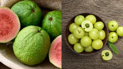 आंवला Vs अमरूद, Vitamin C है किसमें ज्यादा ?