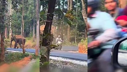 നടുക്കുന്ന ദൃശ്യങ്ങൾ! ബൈക്കിൽ അമ്മയും കുഞ്ഞും, ആക്രമിക്കാൻ പാഞ്ഞടുത്ത് കാട്ടാന, അത്ഭുതകരമായ രക്ഷപ്പെടൽ