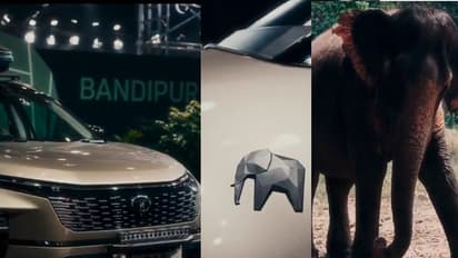 ಕರ್ನಾಟಕ ಅರಣ್ಯ ಸಂಪತ್ತಿಗೆ ಟಾಟಾ ಗೌರವ, ಹೊಸ ಬಂಡೀಪುರ ಎಡಿಶನ್ ಕಾರು ಅನಾವರಣ