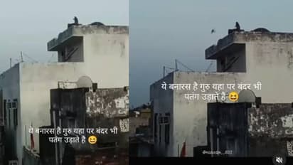 ഇവിടെ വാടാ; പിന്നെയും വൈറലായി ആ വീഡിയോ, നൂലിൽ പിടിച്ചുതാഴ്ത്തി പട്ടം കൈക്കലാക്കുന്ന കുരങ്ങൻ