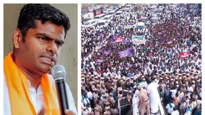 தமிழக மக்களுக்கு இன்று வரும் குட்நியூஸ் - அண்ணாமலை சொல்லும் சீக்ரெட்