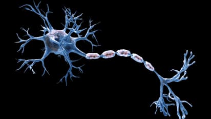 Maharashtra reports 167 confirmed Guillain-Barre Syndrome cases, seven deaths reported