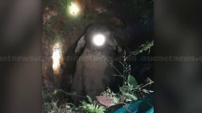 കാടിറങ്ങിയ കാട്ടാന സ്വകാര്യവ്യക്തിയുടെ കൃഷിയിടത്തിലെ കിണറ്റിൽ വീണു; രക്ഷപ്പെടുത്താൻ ശ്രമം