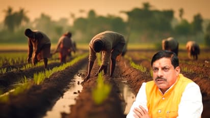 Mohan-Yadav-government-decision-Farmers-to-get-bonus-of-Rs-125-per-quintal-on-wheat-purchased-at-support-price