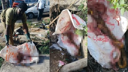 Hassan SHOCKER! Dozens of snakes skinned, discarded in drain at Holenarasipur, locals concerned