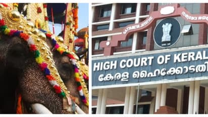 ആന എഴുന്നളളിപ്പ്; 'ദൂരപരിധി പൊതുവായി നിശ്ചയിക്കുന്നതിൽ അപ്രായോഗികതയുണ്ട്'; സർക്കാർ ഹൈക്കോടതിയിൽ