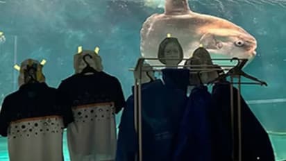 മീനിന് എന്താ സങ്കടം വന്നൂടെ? ആളുകളെ കാണാതെ മത്സ്യം 'ദുഃഖത്തിൽ', വേറെ ലെവൽ പരിഹാരവുമായി അക്വേറിയം