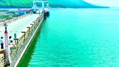 ಕೊಪ್ಪಳ: ಹಸಿರು ಪಾಚಿಗಟ್ಟಿದ ತುಂಗಭದ್ರಾ ನೀರು, ಜನರಲ್ಲಿ ಹೆಚ್ಚಿದ ಆತಂಕ