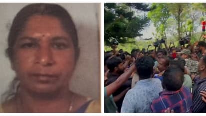 Tribal woman mauled to death by tiger in Kerala's Wayanad, forest minister orders shooting of animal
