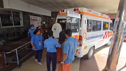 കാവിലക്കാട് പൂരത്തിനിടെ കൊമ്പൻ കീഴൂട്ട് വിശ്വനാഥൻ ഇടഞ്ഞു; ആനപ്പുറത്ത് നിന്ന് ചാടിയ 4 യുവാക്കൾക്ക് പരുക്കേറ്റു