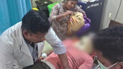 വാളയാറിൽ കൃഷിസ്ഥലത്തിറങ്ങിയ കാട്ടാന കർഷകനെ ചവിട്ടി; തൃശ്ശൂരിലെ സ്വകാര്യ ആശുപത്രിയിൽ പ്രവേശിപ്പിച്ചു