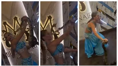 ഒന്ന് ചുംബിക്കാന്‍ ശ്രമിച്ചതാ... റഷ്യന്‍ നർത്തകിയുടെ മൂക്കിൽ കടിച്ച് പാമ്പ്; വീഡിയോ വൈറൽ 